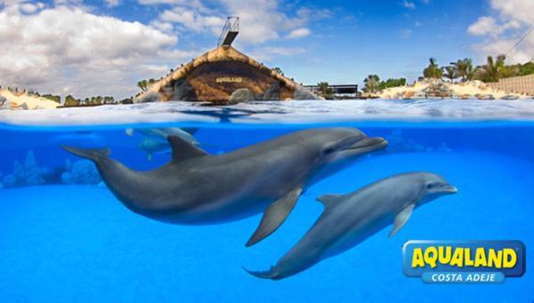 Appartement Royal Ocean View - Localization